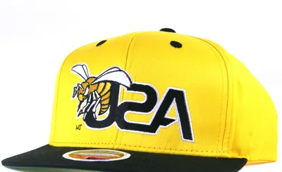 Alabama State Hornets