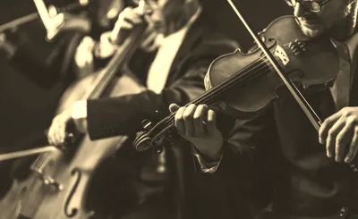 Harry Potter and the Order of the Phoenix In Concert