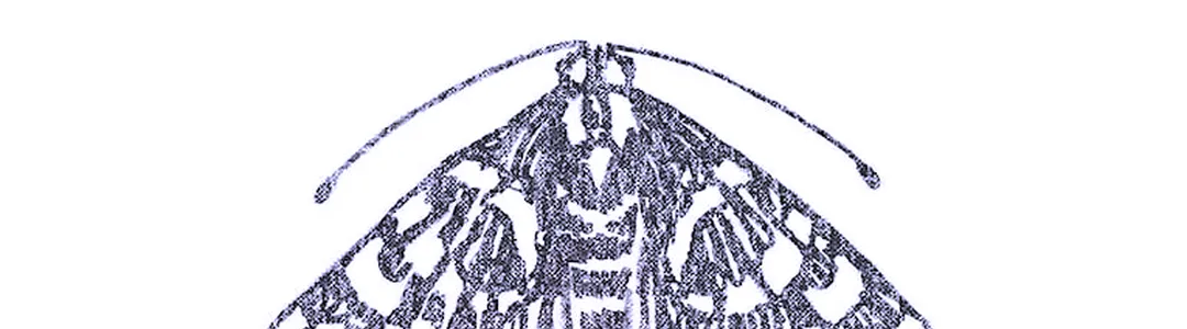 The Moth Storyslam