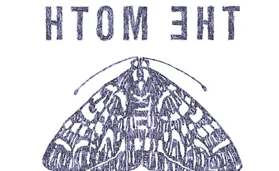 The Moth Storyslam